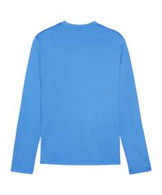 Rückansicht von PUMA teamGOAL Training Sweatshirt Funktionssweatshirt Herren hellblauweissdunkelblau