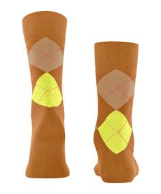 Rückansicht von Falke Socken Freizeitsocken Herren ochre (1237)