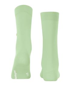 Rückansicht von Burlington Socken Freizeitsocken Damen peppermint (7663)