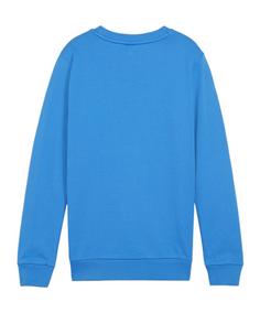 Rückansicht von PUMA teamGOAL Casuals Sweatshirt Kids Funktionssweatshirt Kinder blauweiss