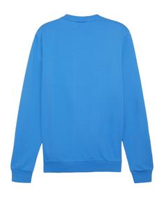 Rückansicht von PUMA teamGOAL Casuals Sweatshirt Funktionssweatshirt Herren blauweiss