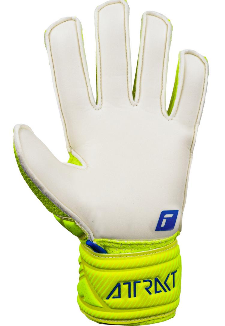 Reusch Reusch Attrakt Solid Junior Torwarthandschuhe Kinder - safet yellow/dp blue/whit - 0 | SportScheck
