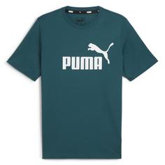 PUMA T-Shirt T-Shirt Herren Grün (Cold Green)