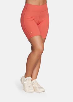 Rückansicht von Gold's Gym JODIE Funktionsshorts Damen astro dust