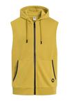 Gold's Gym DRAPER Hoodie Herren - Golden Olive