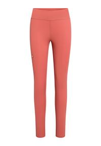 Gold's Gym BROOKE Leggings Damen - astro dust