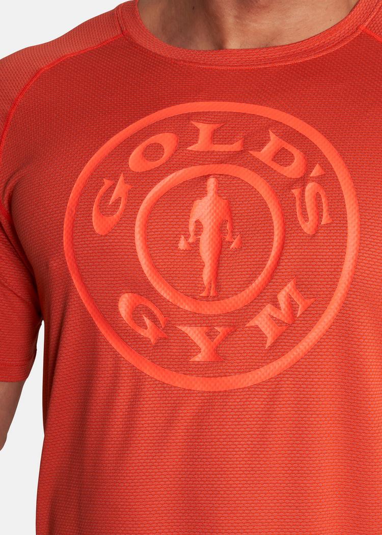 Gold's Gym Gold's Gym KURT T-Shirt Herren - Grenadine - 1 | SportScheck