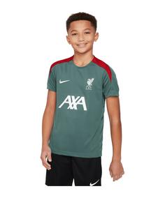 Nike FC Liverpool Trainingsshirt Kids Fanshirt Kinder gruen