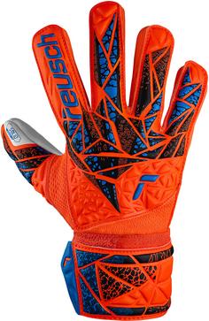 Rückansicht von Reusch Attrakt Starter Solid Junior Torwarthandschuhe 2290 shocking orange/blue