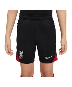 Nike FC Liverpool Trainingsshort Kids Fußballshorts Kinder grau