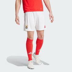 Rückansicht von adidas Benfica Lissabon 24/25 Heimshorts Fußballshorts Herren White