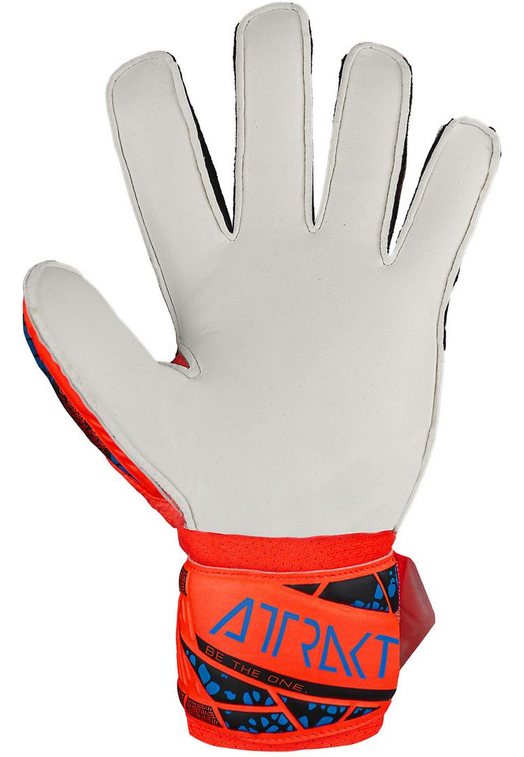 Reusch Reusch Finger Support Junior Torwarthandschuhe - 2210 hyper orng/elec blue - 0 | SportScheck