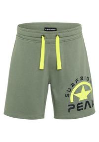 Chiemsee Bermuda-Shorts Shorts Jungen - 17-6009 Laurel Wreath