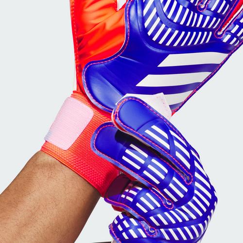 Rückansicht von adidas Predator Training Torwarthandschuhe Torwarthandschuhe Lucid Blue / Solar Red / White