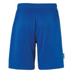 Rückansicht von Uhlsport Center Basic Shorts FTP Fußballshorts azurblau