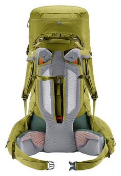 Rückansicht von Deuter Aircontact Core 60+10 Trekkingrucksack Herren cactus ivy