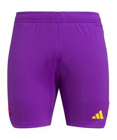 adidas Tiro 23 Pro Torwartshort Kids Torwarthose Kinder lilapink