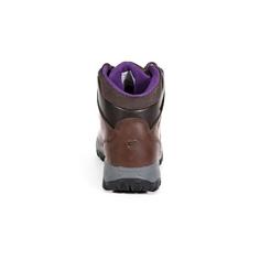 Rückansicht von Regatta Lady Bainsford Wanderschuhe Damen Chestnut/AlpinePurple