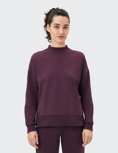 Rückansicht von VENICE BEACH VB Aislinn Sweatshirt Damen dark grape