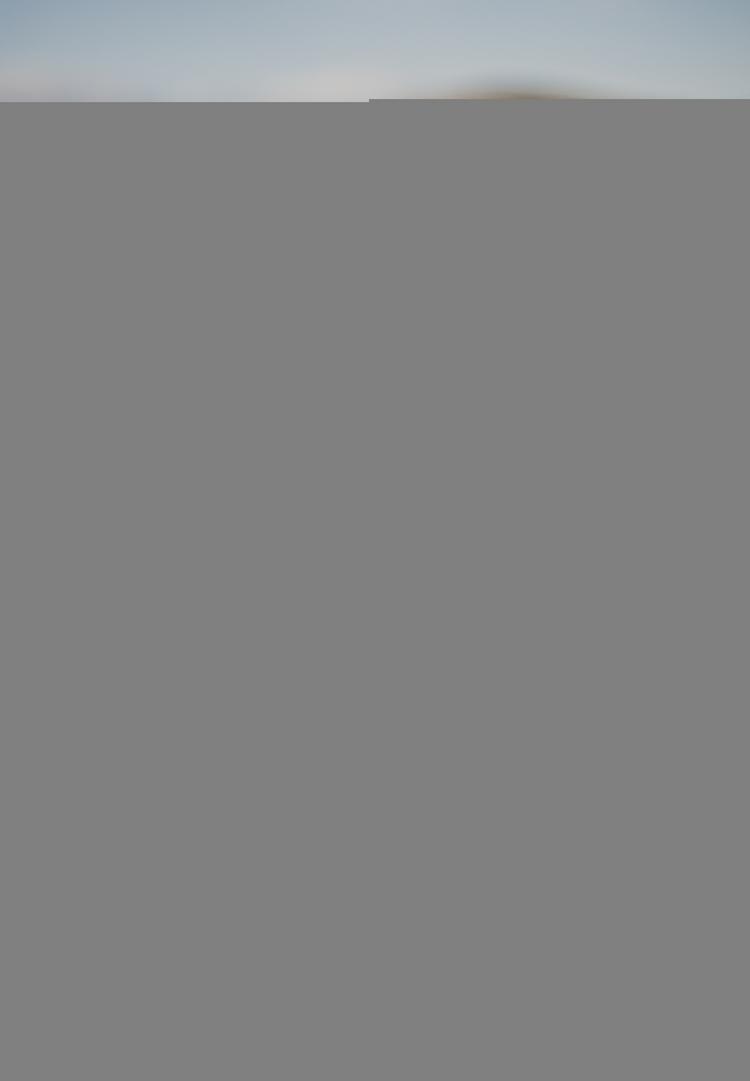 DANISH ENDURANCE DANISH ENDURANCE Merino Hiking Light Socken - yellow/grey/green - 1 | SportScheck