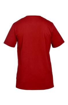 Rückansicht von Gipfelglück Fred T-Shirt Herren Wine Red
