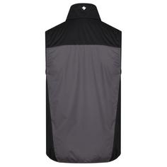 Rückansicht von Regatta Lankin III Outdoorweste Herren Magent/Black