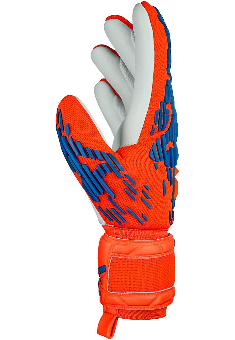 Reusch Reusch Attrakt Freegel Silver Junior Torwarthandschuhe - 2210 hyper orng/elec blue - 0 | SportScheck