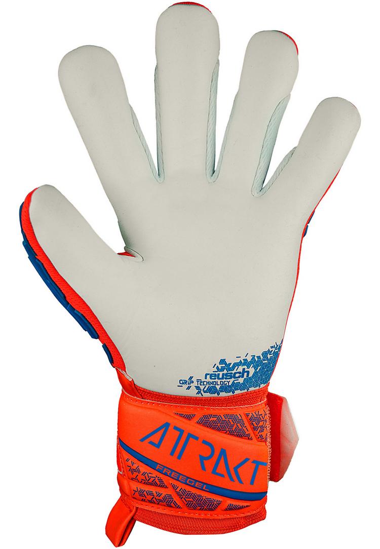 Reusch Reusch Attrakt Freegel Silver Junior Torwarthandschuhe - 2210 hyper orng/elec blue - 1 | SportScheck