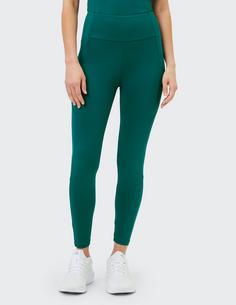 Rückansicht von VENICE BEACH VB Kerigan Tights Damen green pond