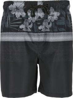 Cruz Indy Boardshorts Herren Print 8633