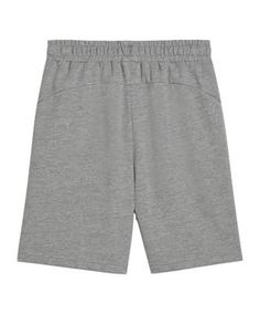 Rückansicht von PUMA teamGOAL Casuals Shorts Kids Fußballshorts Kinder grauweiss