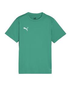 PUMA teamGOAL Trikot Kids Funktionsshirt Kinder gruenweissgruen