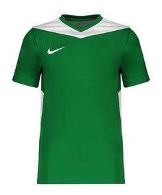 Nike Park Derby IV Trikot Kids Fußballtrikot Kinder gruenweiss