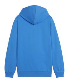 Rückansicht von PUMA teamGOAL Casuals Hoody Kids Funktionssweatshirt Kinder blauweiss