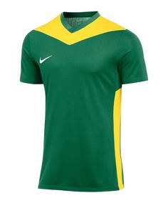 Nike Park Derby IV Trikot Kids Fußballtrikot Kinder gruengelbweiss