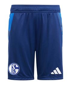 adidas FC Schalke 04 Trainingsshort Dunkel Fußballshorts blau