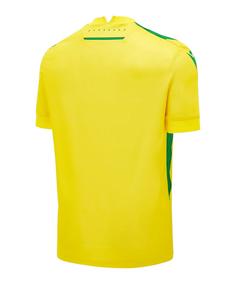 Rückansicht von macron FC Nantes Trikot Home 2024/2025 Fußballtrikot blau