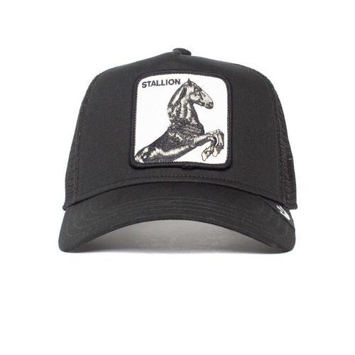 Rückansicht von GOORIN BROS. Cap Cap The Stallion