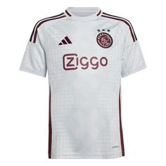 adidas Ajax 24/25 Kids Ausweichtrikot Fußballtrikot Kinder Clear Grey