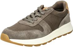 Toms Sneaker Sneaker Herren Olive