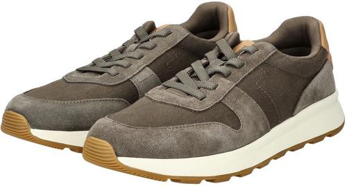 Rückansicht von Toms Sneaker Sneaker Herren Olive