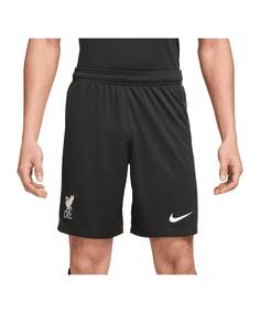 Nike FC Liverpool Short Away 2024/2025 Fußballshorts gruengrau