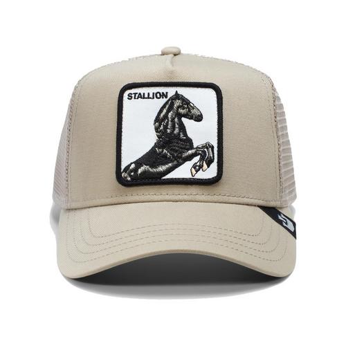 Rückansicht von GOORIN BROS. Cap Cap The Stallion beige