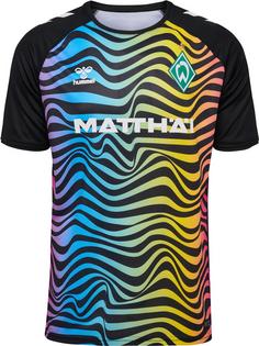 hummel WER 24/25 GK JERSEY S/S Fanshirt MULTI COLOUR