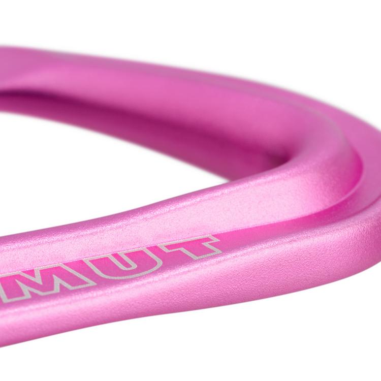 Mammut Mammut Workhorse Keylock 12 cm 6-Pack Expressen - Straight Gate/Bent Gate Key Lock, grey-pink - 1 | SportScheck