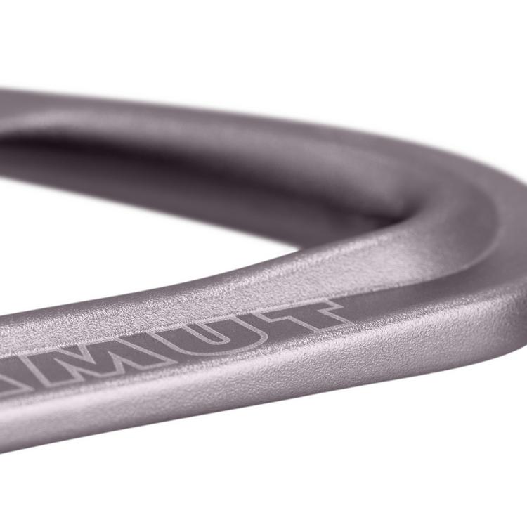 Mammut Mammut Workhorse Keylock 12 cm 6-Pack Expressen - Straight Gate/Bent Gate Key Lock, grey-pink - 2 | SportScheck