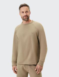 Rückansicht von VENICE BEACH VBM Callen Sweatshirt Herren desert taupe