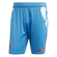 adidas Frankreich Gym Shorts Funktionsshorts Herren Focus Blue