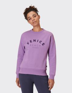 Rückansicht von VENICE BEACH VB Lissa Sweatshirt Damen soft mulberry