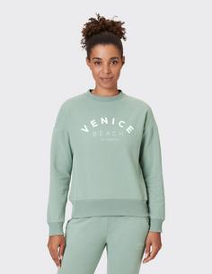 Rückansicht von VENICE BEACH VB Lissa Sweatshirt Damen willow green